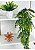 Planta Artificial Pendente 60cm + Vasinho Cerâmica com Verdinhos - Imagem 6