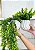 Planta Artificial Pendente 60cm + Vasinho Cerâmica com Verdinhos - Imagem 2