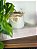 Planta Pendente Artificial Jiboia 50cm Vaso Cerâmica Branco - Imagem 4