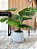 Planta Artificial Costela de Adão 70cm Vaso Polietileno Cinza - Imagem 1