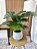 Planta Artificial Costela de Adão 70cm Vaso Polietileno Cinza - Imagem 5