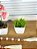 Kit Decorativo Orquidea + Colar + Vaso Verdinhos - Imagem 5