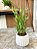 Bambu Toque Real 70cm Vaso Polietileno Branco - Imagem 1