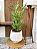 Bambu Toque Real 70cm Vaso Polietileno Branco - Imagem 5