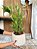 Bambu Toque Real 70cm Vaso Polietileno Branco - Imagem 2
