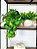 Planta Pendente 3D 40cm + Vasinho Cerâmica Sinus Branco com Verdinhos - Imagem 1