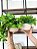 Planta Pendente 3D 40cm + Vasinho Cerâmica Sinus Branco com Verdinhos - Imagem 2