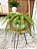 Planta Artificial Samambaia Toque Real Vaso Bacia Cinza - Imagem 4