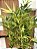 Árvore Artificial Bambu 130cm Vaso Polietileno Cinza - Imagem 2