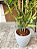 Árvore Artificial Bambu 130cm Vaso Polietileno Cinza - Imagem 4