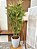 Árvore Artificial Bambu 130cm Vaso Polietileno Cinza - Imagem 5