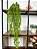 Planta Artificial Pendente Eucalipto 70cm Vaso Ceramica Branco - Imagem 1