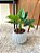 Planta Artificial Verde 50cm Vaso Polietileno Cinza - Imagem 1
