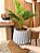 Planta Artificial Verde 50cm Vaso Polietileno Cinza - Imagem 2
