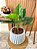 Planta Artificial Verde 50cm Vaso Polietileno Cinza - Imagem 5