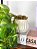 Planta Artificial Pendente Jiboia 90cm Vaso Cerâmica Branco - Imagem 5