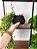 Planta Artificial Pendente Verde 60cm Vaso Sinus Preto - Imagem 2
