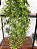 Planta Artificial Pendente Verde 60cm Vaso Sinus OffWhite - Imagem 3