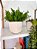Kit 2 Pendentes Eucalipto + 1 Vasinho com Verdinhos Off White - Imagem 2