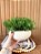 Vaso Cerâmica Branco Brilho com Pick Verde Artificial - Imagem 2