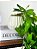 Pendente Artificial Hera 50cm Vaso Cerâmica Branco - Imagem 4