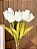 Arranjo de Tulipas Brancas Artificial com Vaso de Vidro - Imagem 3