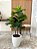 Árvore Artificial Ficus Lyrata 105cm Vaso de Polietileno Branco - Imagem 5