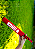 Cabo de Guerra Kong Signature Stick Rope - Imagem 3