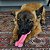 Mordedor Kong ChewStix Puppy Curve Bone M - Imagem 3