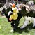 Kong Comfort Jumbo Assorted - Pato Amarelo GG - Imagem 2