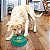 Kong Licks Spinz Tapete de Lamber 2 em 1 G - Imagem 3