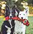 Pelúcia Resistente Tough Seamz Snake GG - Outward Hound - Imagem 4