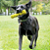 Bastão Kong Reflex Stick Resistente - Imagem 2