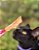 Stick de Frango Crocante 60g - Pet Bem - Imagem 5