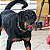 Bola Extraforte FlexBall Extreme - Germanhart - Imagem 4