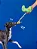 Pelúcia com Corda Gameboy Controle P - Petta - Imagem 2