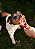 Focinho Suíno 4un - All Natture - Imagem 2