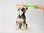 Pelúcia para Cachorro Flor e Corda - Petta - Imagem 2