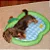 Tapete de Verão Respirável para Pets - Petta - Imagem 2