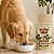 Caldo de Ossos Super Concentrado Para Cães e Gatos Sabor Bovino 250ml - Raw Raw - Imagem 2
