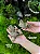 Pele De Bovina Com Pelos Desidratada 3un - Good Lovin - Imagem 2