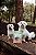 Disquinho de Pele Bovina 4un - Pet Bem - Imagem 2