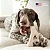 BENEBONE GREEN WISHBONE M - Imagem 5