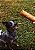Bastão de Couro Bovino. Recheado com Esôfago - Pet Bem - Imagem 5