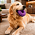 Brinquedo Recheável Donuts Roxo M - Amicus - Imagem 4
