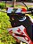 KIT ADESIVOS GRAFICOS HONDA TORNADO 250 BIKER MOTOCROSS - Imagem 6