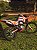 KIT ADESIVOS GRAFICOS HONDA TORNADO 250 BIKER MOTOCROSS - Imagem 4