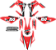 Kit Adesivos Motocross Graficos Kasinski Crz 150 Trilha - Imagem 1
