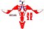 KIT ADESIVOS GRAFICOS CRF230 AMX F25 MOTOCROSS - Imagem 4