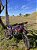 KIT ADESIVOS GRAFICOS CRF250f MOTOCROSS CARTOON JORGE - Imagem 6